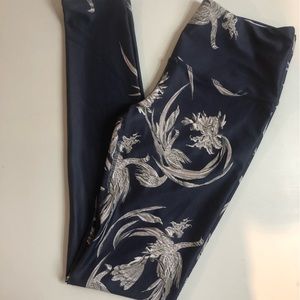 Womens Noli Active Wear